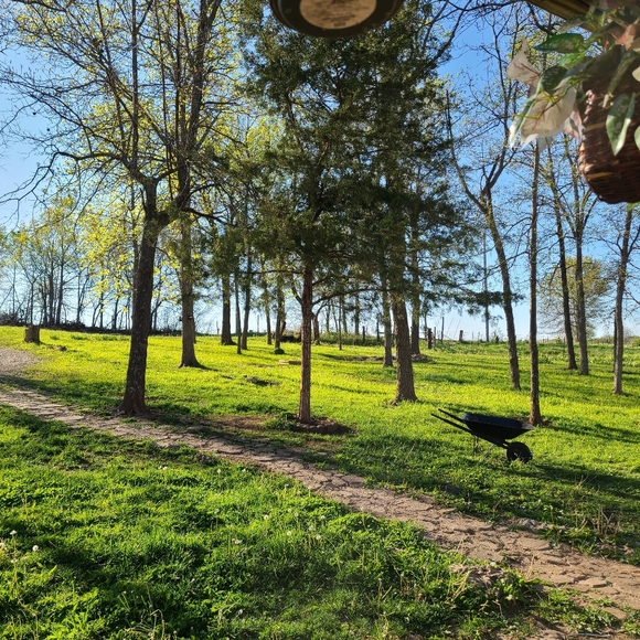 Meet your Posher, Christina - Picture 4 of 4